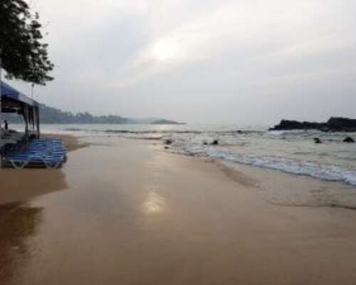 Sri Lankan Mirissa Beach on bileporukan ja su...