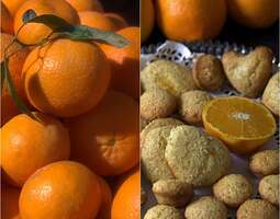 Appelsiiniset kookosherkkupalat