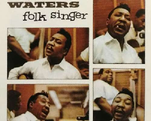 LEVYT - Muddy Waters: Folk Singer