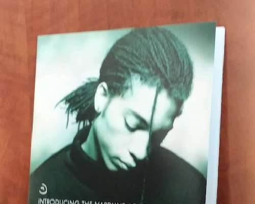 LEVYT - Terence Trent D'Arby: Introducing The...