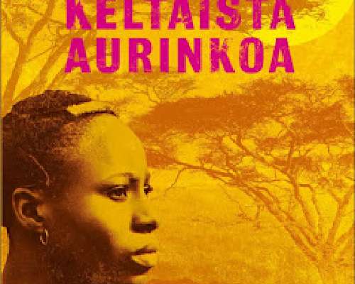 7x kesälukemista: Chimamanda Ngozi Adichie, P...