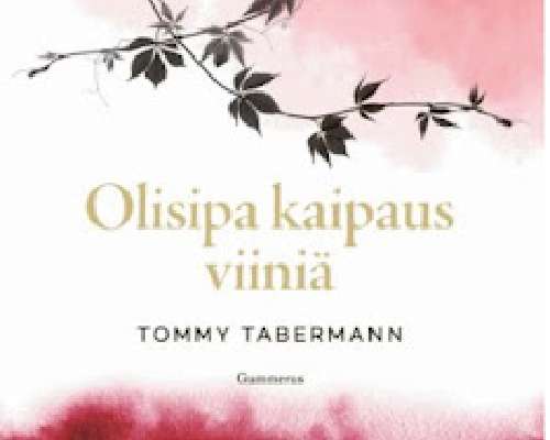 7x kesälukemista: Tommy Tabermannin runot