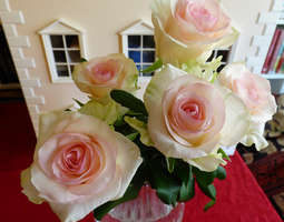 Pink roses and the dollshouse