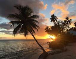 Fidži – Samoa – Kiribati