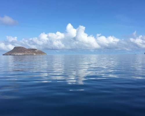 Travel Galapagos Ecuador: How A Last-Minute C...