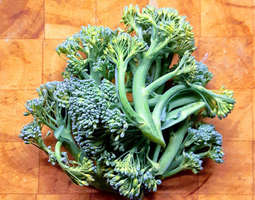 Broccoliinipasta