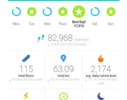 Viikon 49 liikuntapäiväkirja + Fitbit statist...