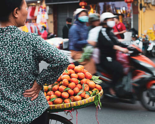 Vegaaniruokamatkalla Hanoissa