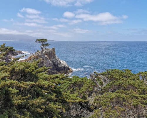 Roadtrip Kaliforniassa – Montereyn kuvauksell...