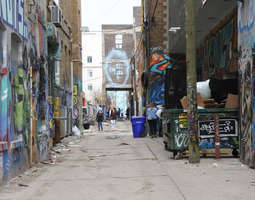 Toronton katutaide tekee kaupungista värikkään