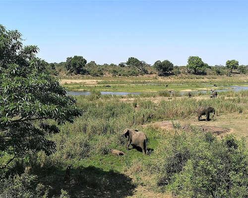 Unelma toteutettu: Krugerin kansallispuisto