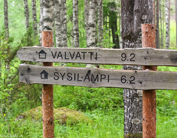 2. päivä Salamajärven kansallispuisto: Hirvaa...