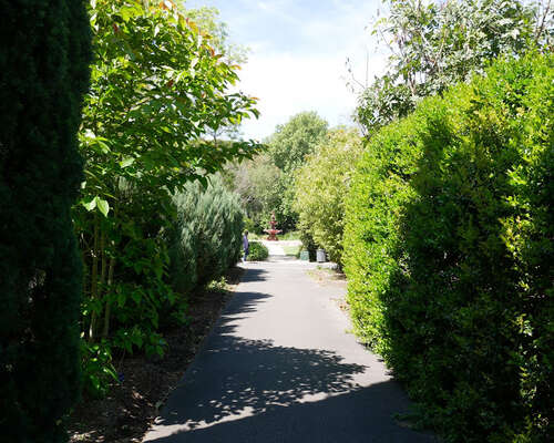 Adelaide Botanic Garden