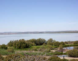 Fuente de Piedra - Flamingo Lake