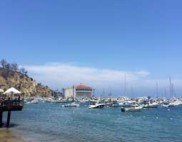 Catalina Island Quiz