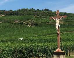 Visiting Alsace - the winery Zinck