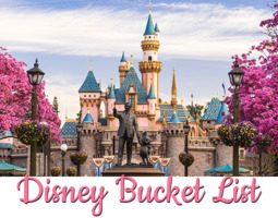Disney bucket list