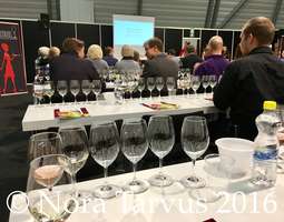 German Whites Tasting Notes – Food & Wine Exp...