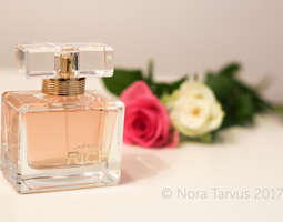 My Favorite Perfumes Series: #5 Rich by Johan B.