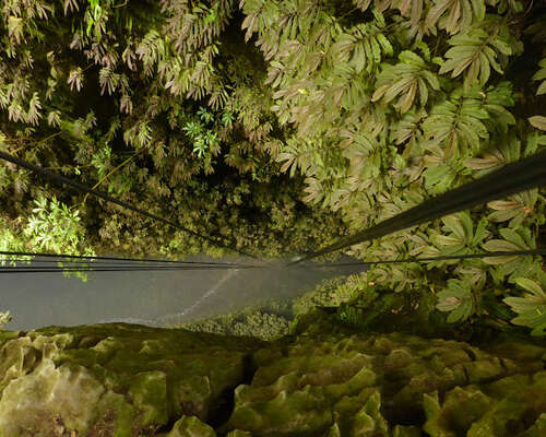 Waitomo Caves - abseiling luolaseikkailu