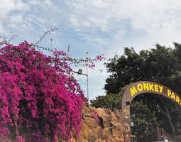 Teneriffan Monkey Park