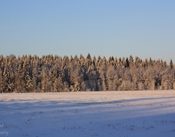 Talvimaisemia Etelä-Pohjanmaalta