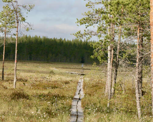 Retki kansallispuistoon: Salamajärvi