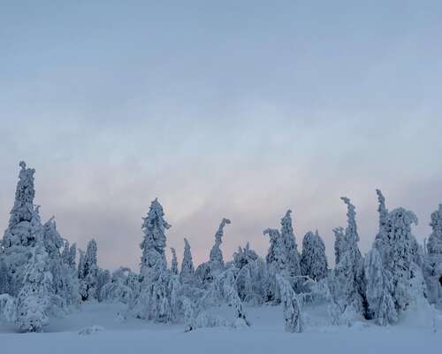Talvisia elämyksiä Itä-Rukan kauniissa maisem...