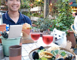 Dine with your dog - Sydneyn parhaat koirayst...