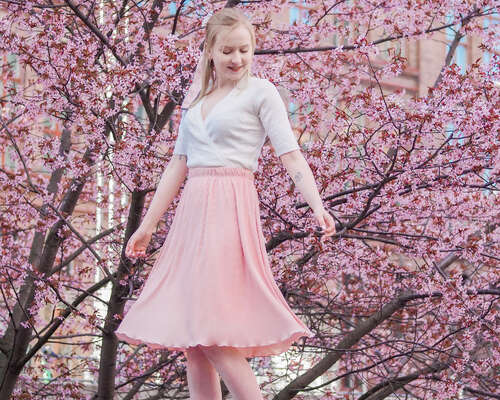Kirsikkapuut Tampereella – Vihdoin ne kukkivat!