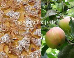 Gluteeniton uuden sadon omenapiirakka
