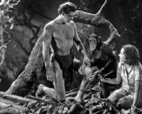 4. luukku: 90 vuotta sitten (Tarzan - viidako...