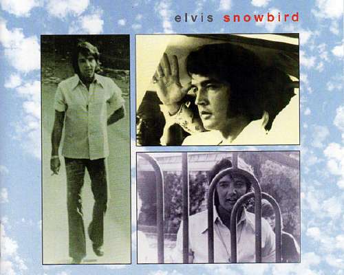 Elvis Snowbird