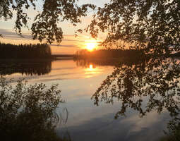 Suomen luonnon päivä