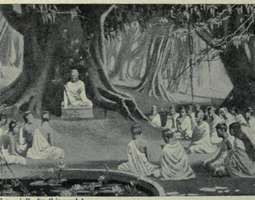 A Buddhist Diagnosis of the Human Predicament