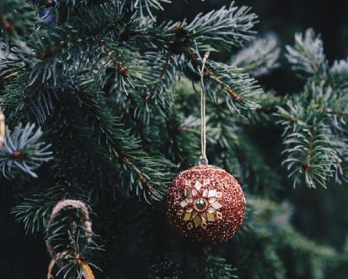 En ljuvlig jul – sju sätt att fira en stressf...