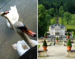 Castles to visit; Schloss Linderhof