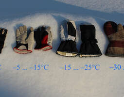 Winter handwear