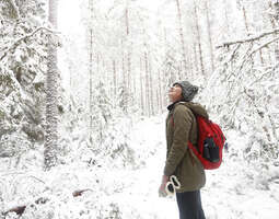 Talvivaellus Salamajärven kansallispuistossa