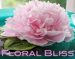 Floral Bliss - linkup 1