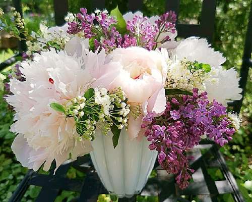 Friday Bliss #194 - Peonies & Lilacs