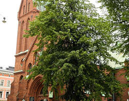 Sightseeing: German Church in Helsinki