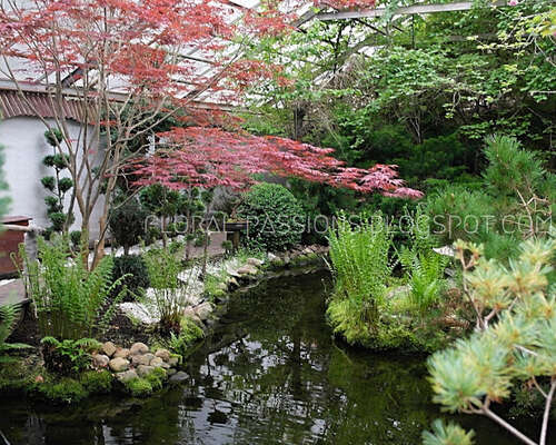 The Japanese Garden of Viherpaja