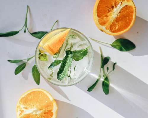 Salvia & Appelsiini Gin Tonic