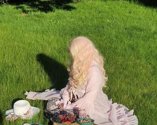 Princess Heyfever has a pink picnic (dream)