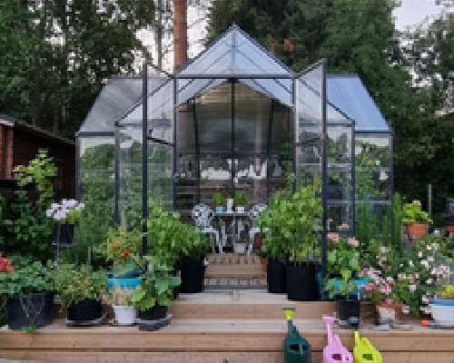 My little heaven, Palram Victory greenhouse 