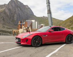 Day 11: Jaguar kissed by a horse on Col du To...