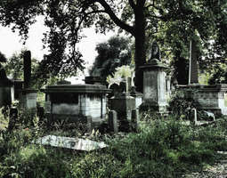 Kensal green cemetery //3