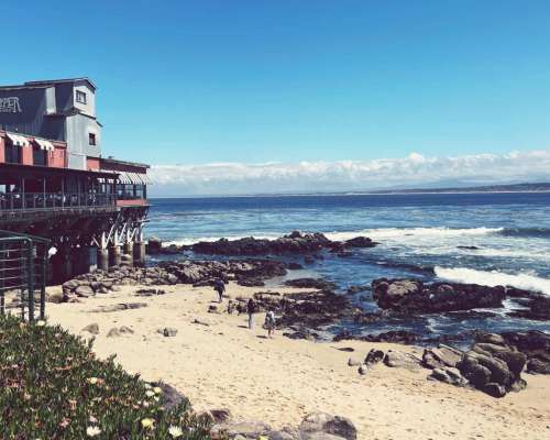 7 syytä käydä Kalifornian Montereyssä
