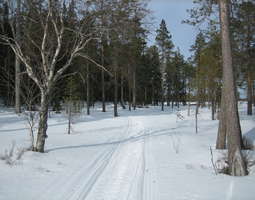 Still winter in Lapland